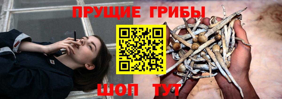 Переславль-Залесский  даркнет сайт  Вход с VPN  Псилоцибиновые грибы MAGIC MUSHROOMS 